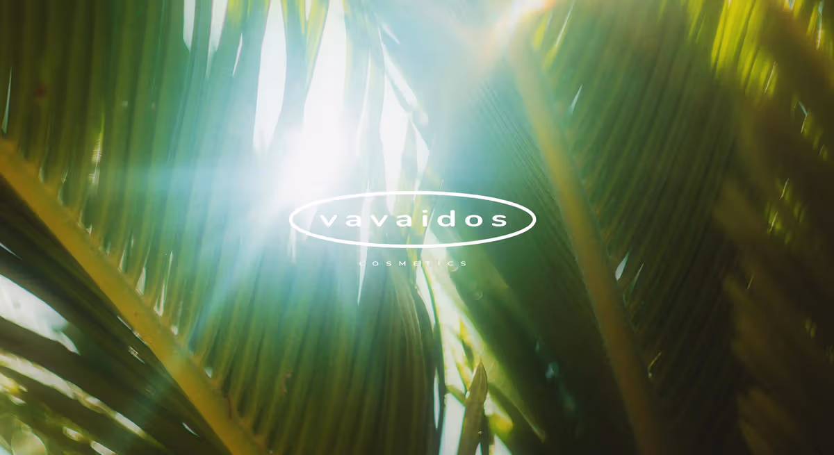 2023 Vavaidos cosmetics